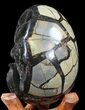 Septarian Dragon Egg Geode - Crystal Filled #40902-2